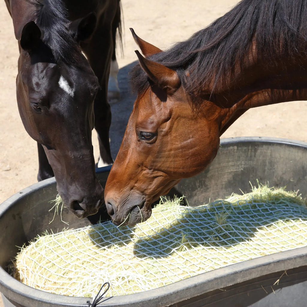 Freedom Feeder Full Bale Hay Net - Slow Feed Hay Net - 3 String Bale - 3 Size Mesh Options