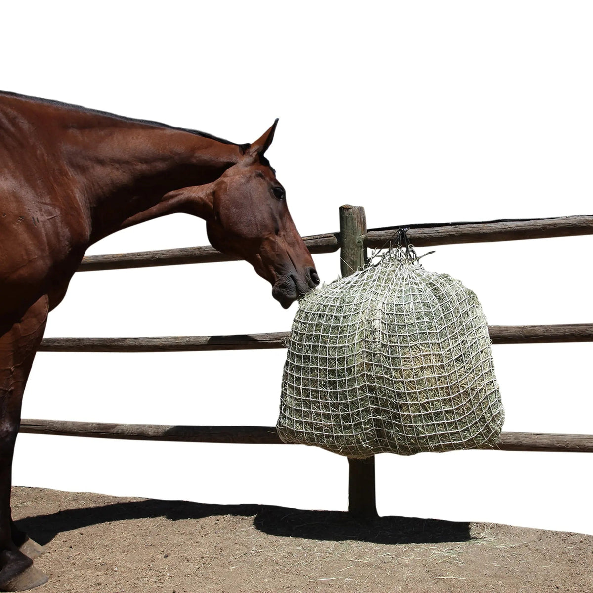 Freedom Feeder Day Net - Slow Feed Hay Net - 4 Flake - 3 Size Mesh Options