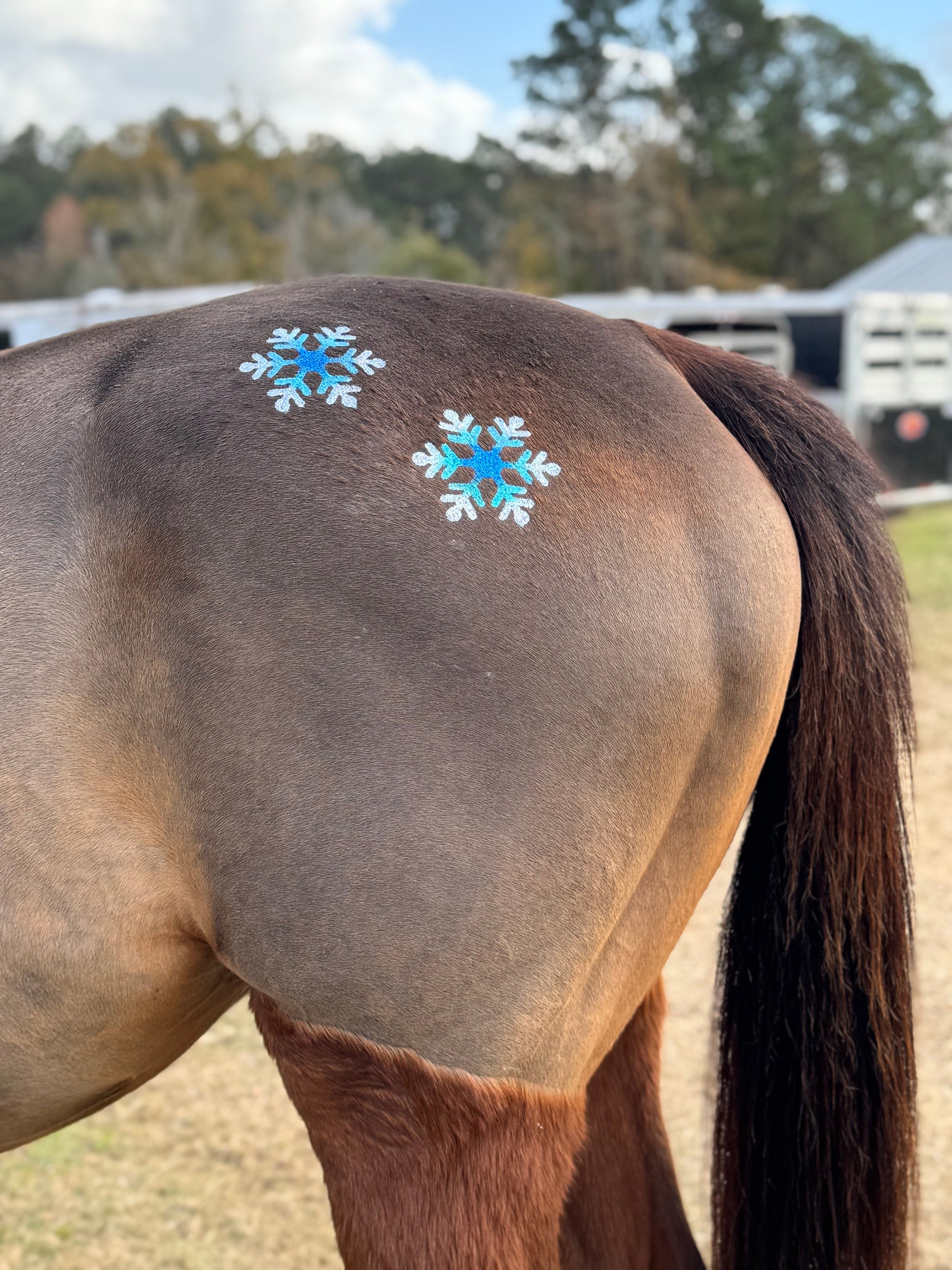 Snowflake Single
