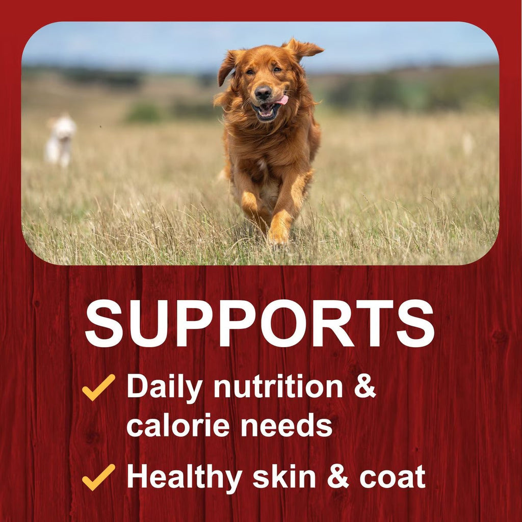 Big Red Nuggets Dry Dog Food, 50-lb bag