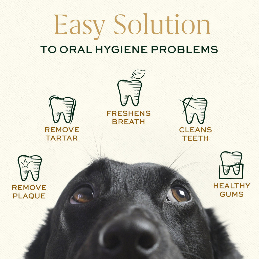 Breedwise Dental Wipes