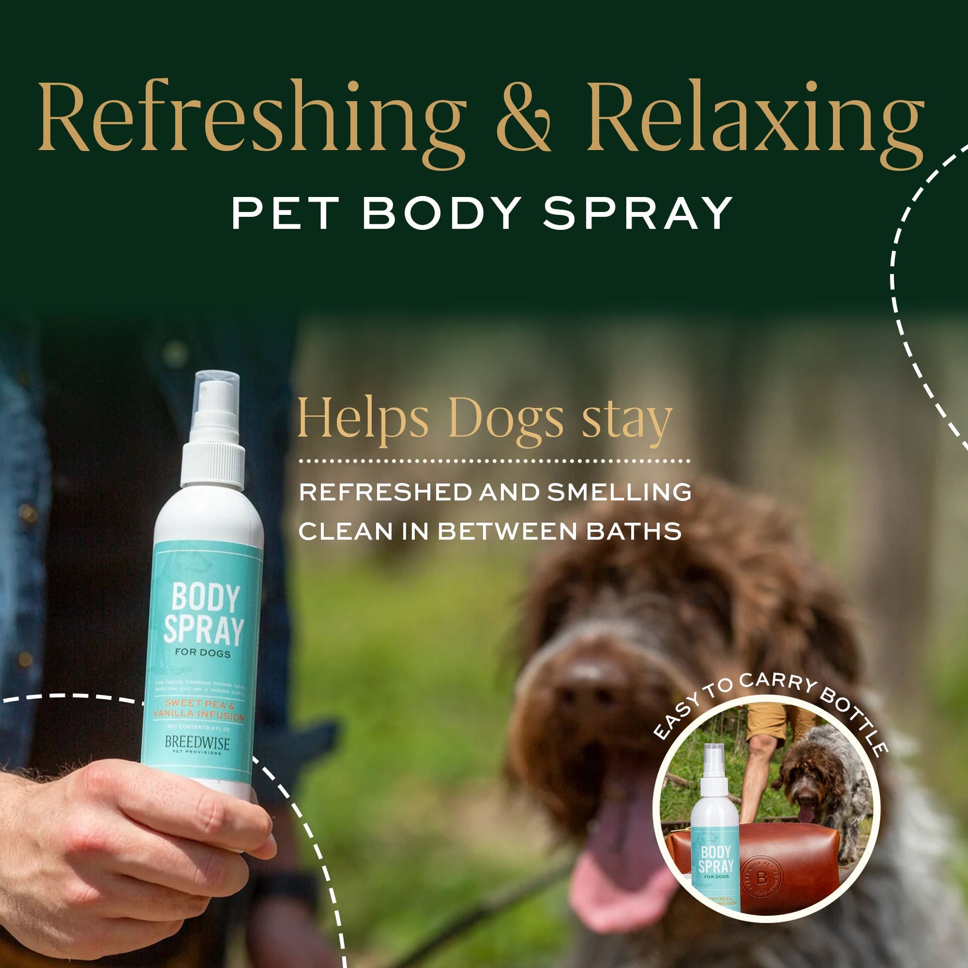 Body Spray (12 Bottles) Wholesale