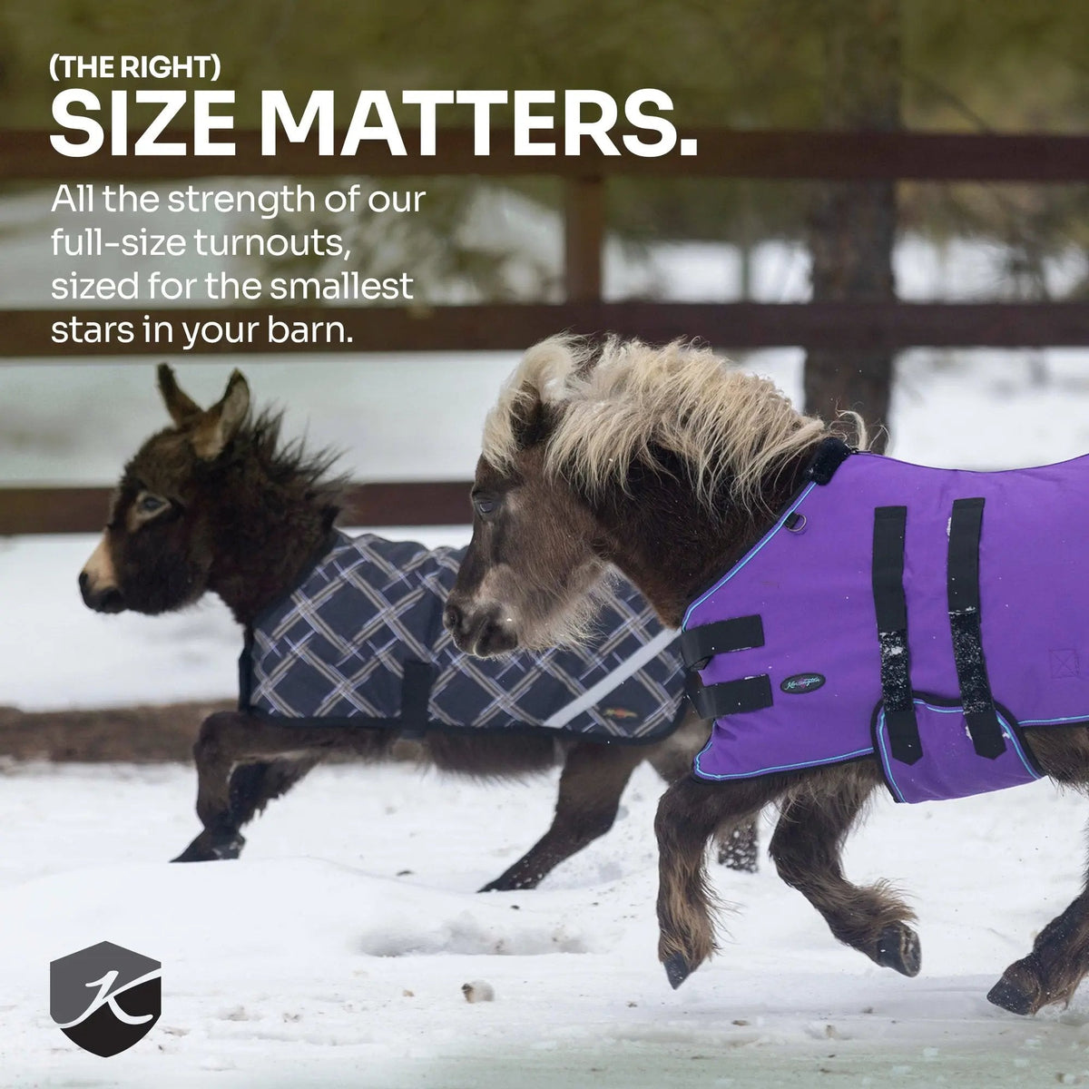 New Mini 80G Light Weight Horse Winter Turnout Blanket - Waterproof & Breathable