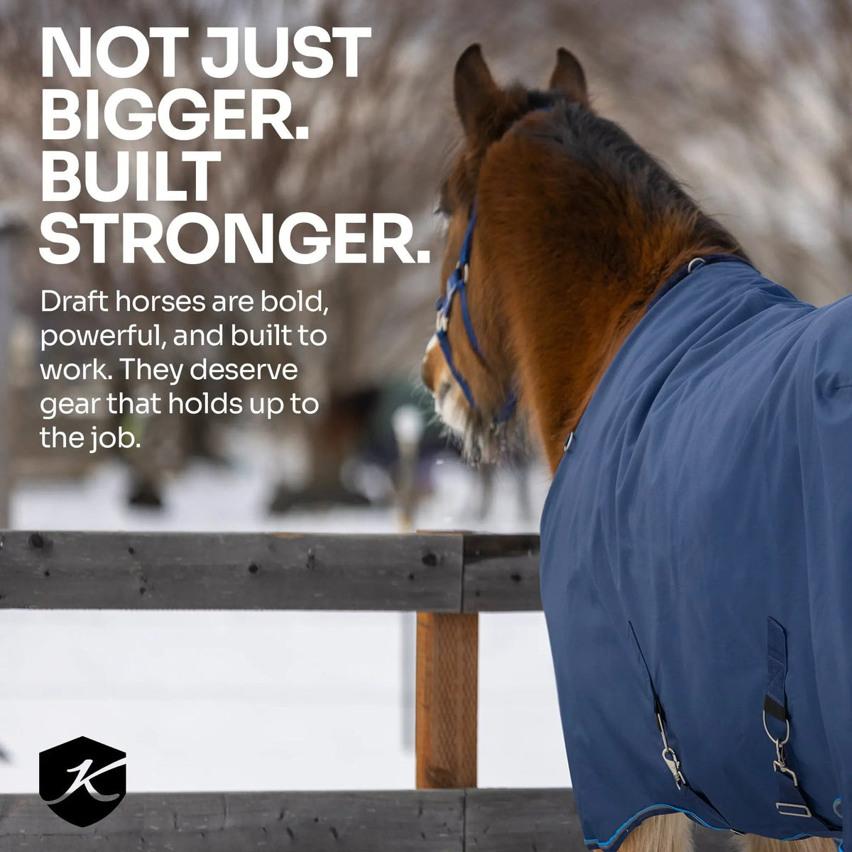 Draft Horse Lightweight 80g Winter Turnout Blanket - Waterproof & Breathable