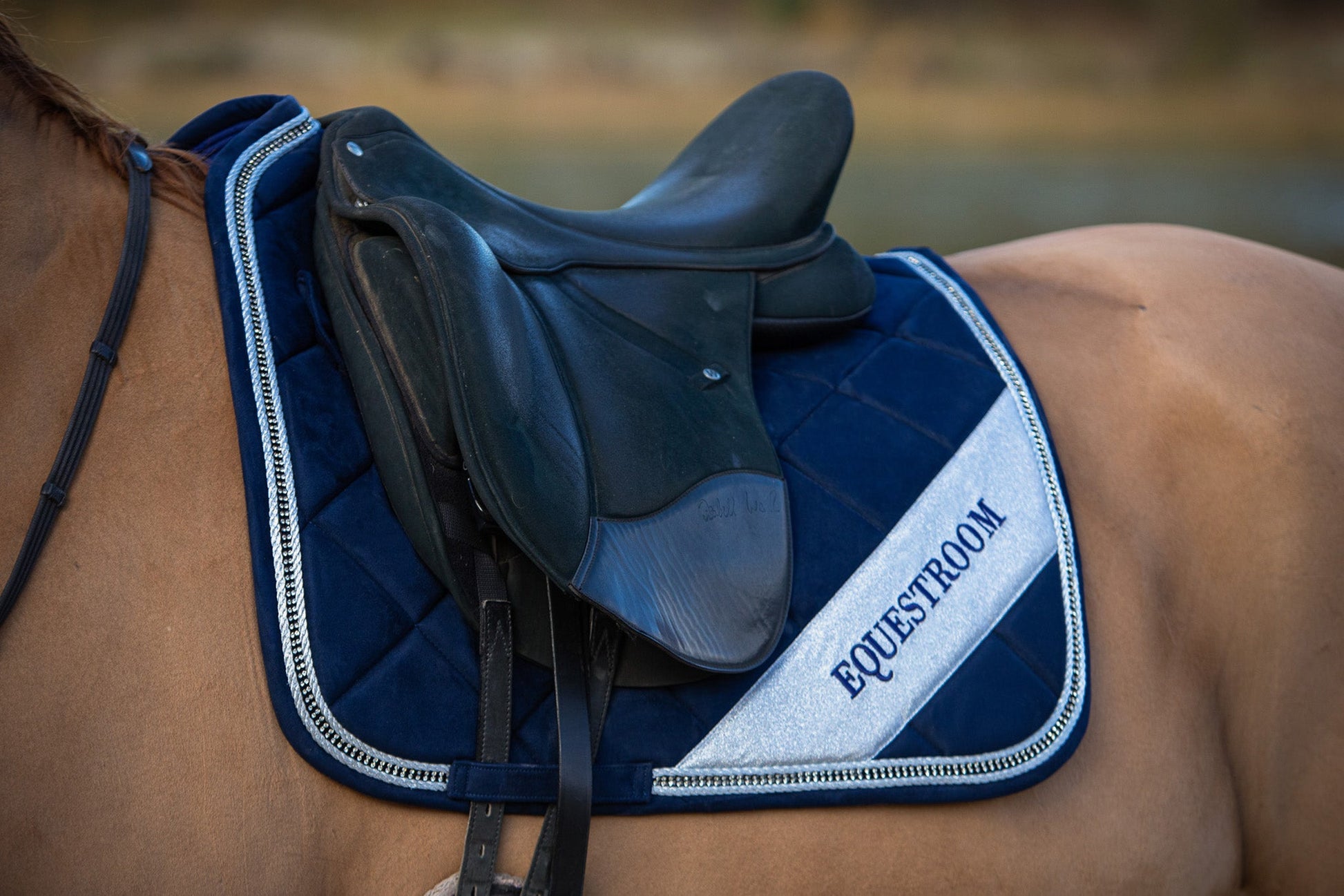 Blue Astra Saddle Pad