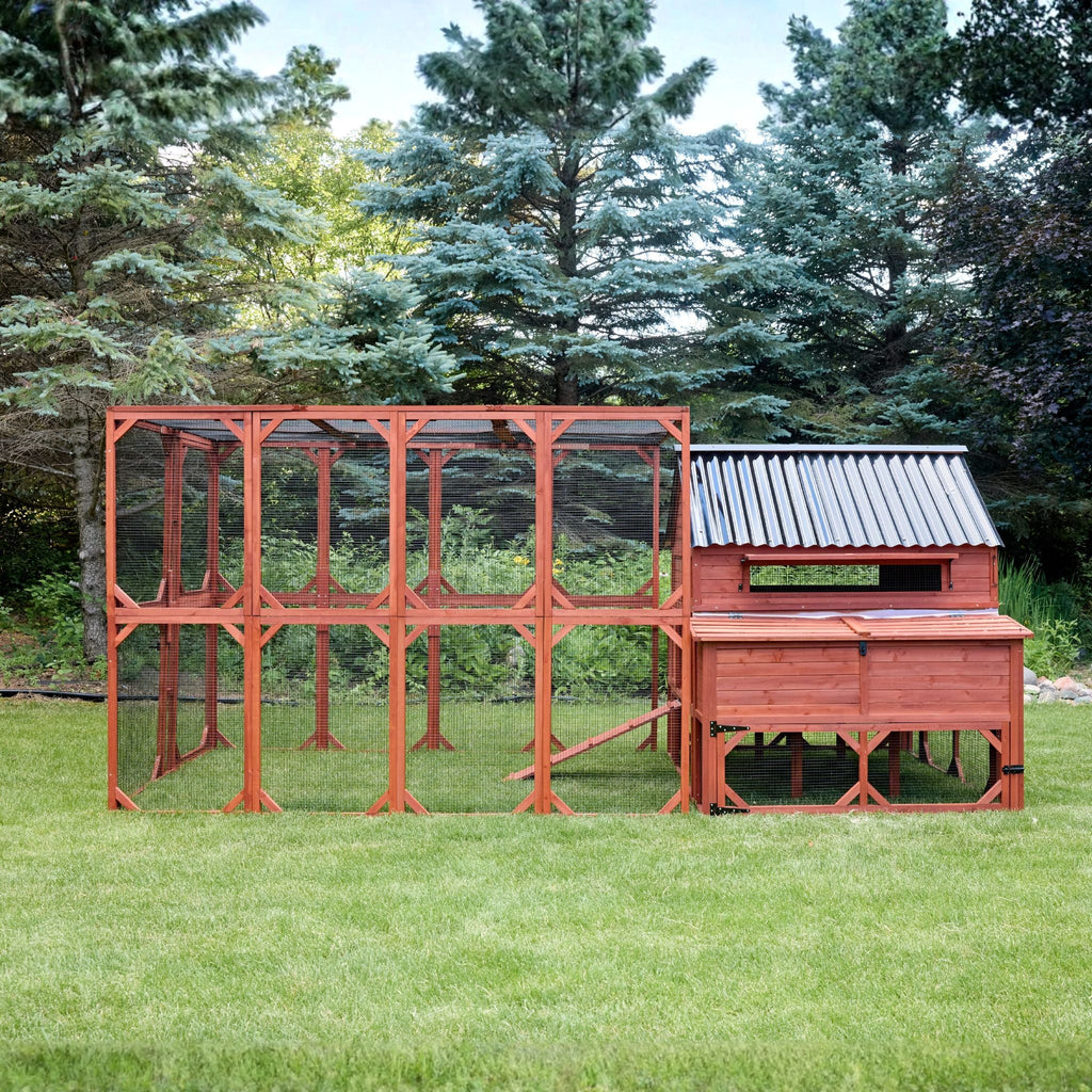 Chicken Coop for 15 Chickens – Brahma Chicken Coop