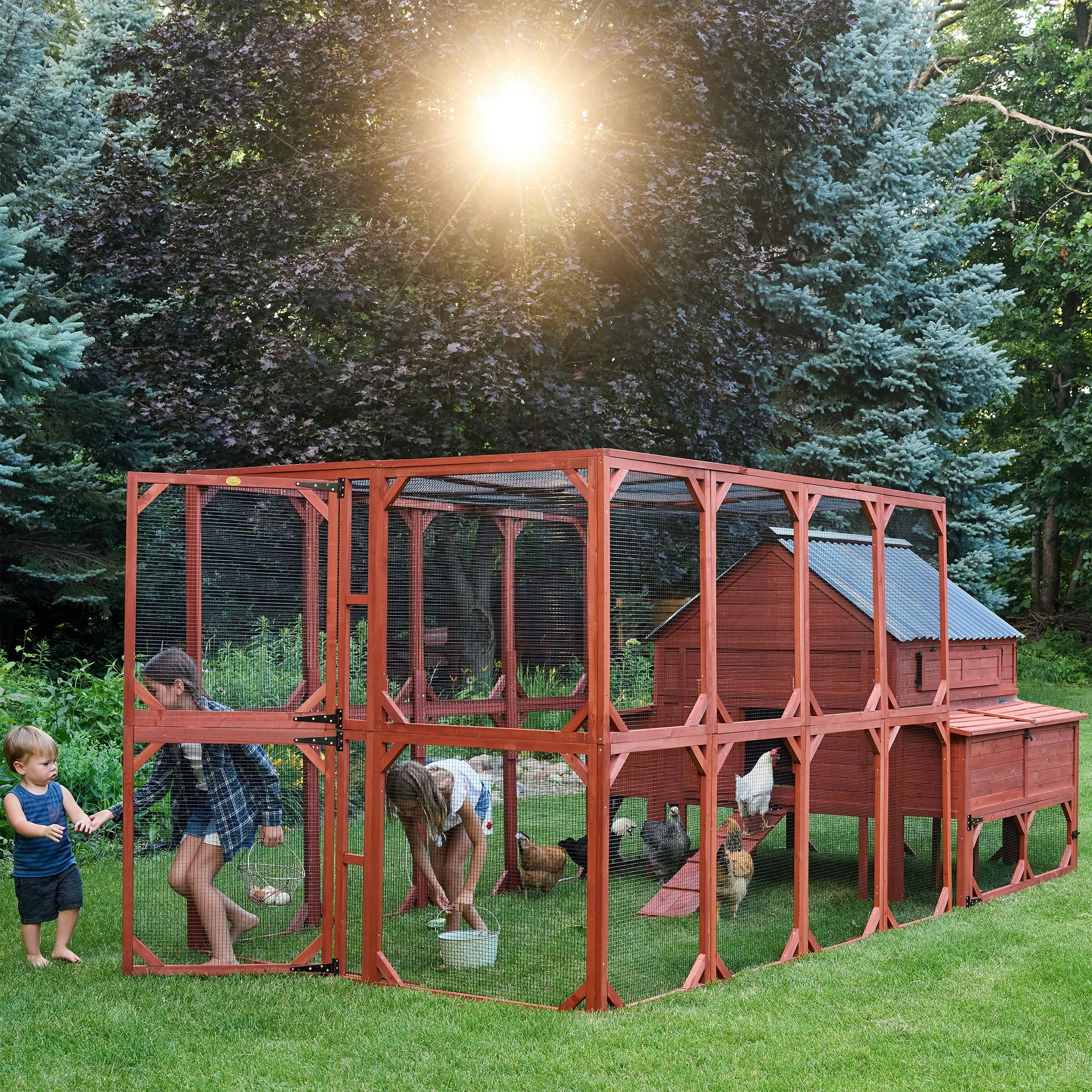 Chicken Coop for 15 Chickens – Brahma Chicken Coop
