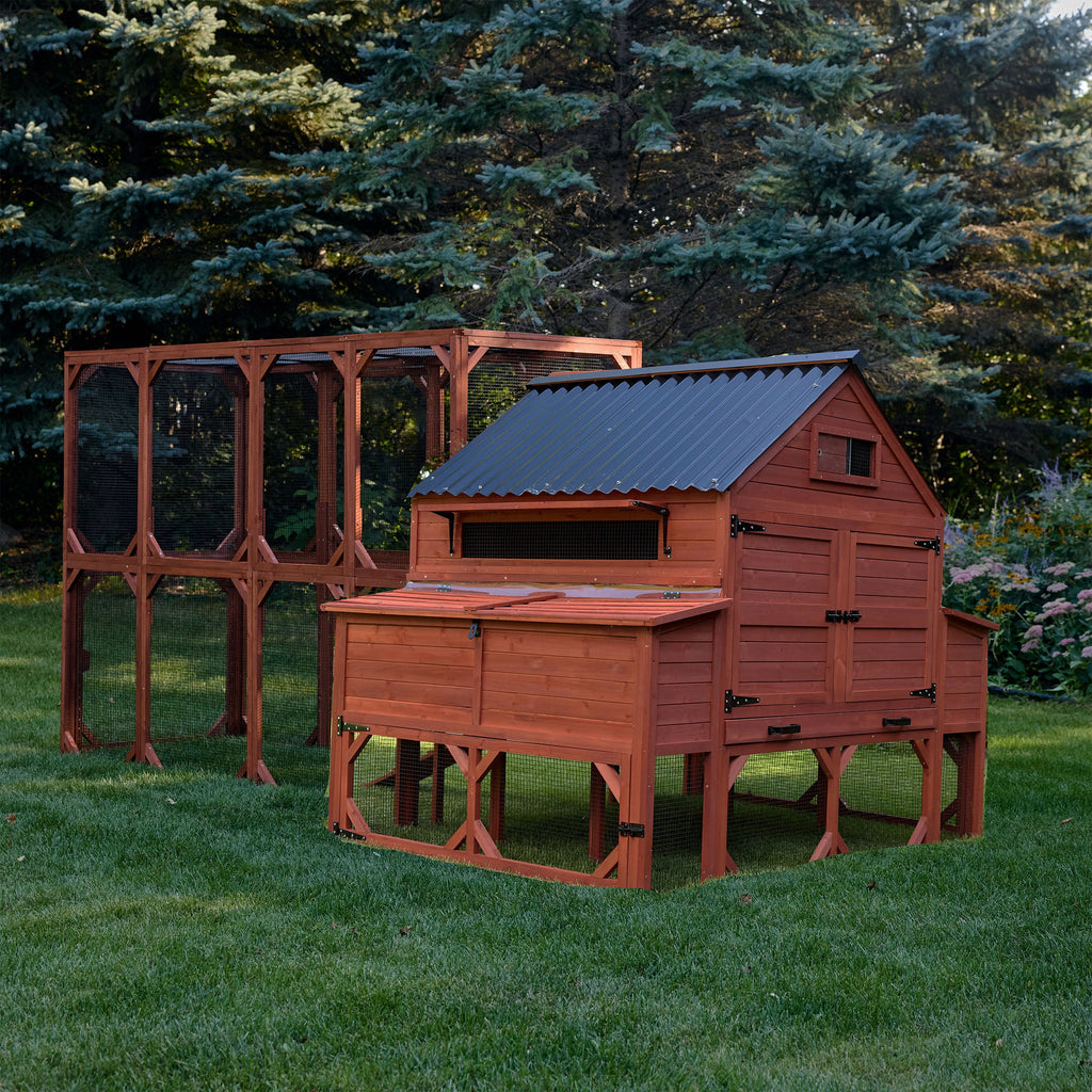 Chicken Coop for 15 Chickens – Brahma Chicken Coop