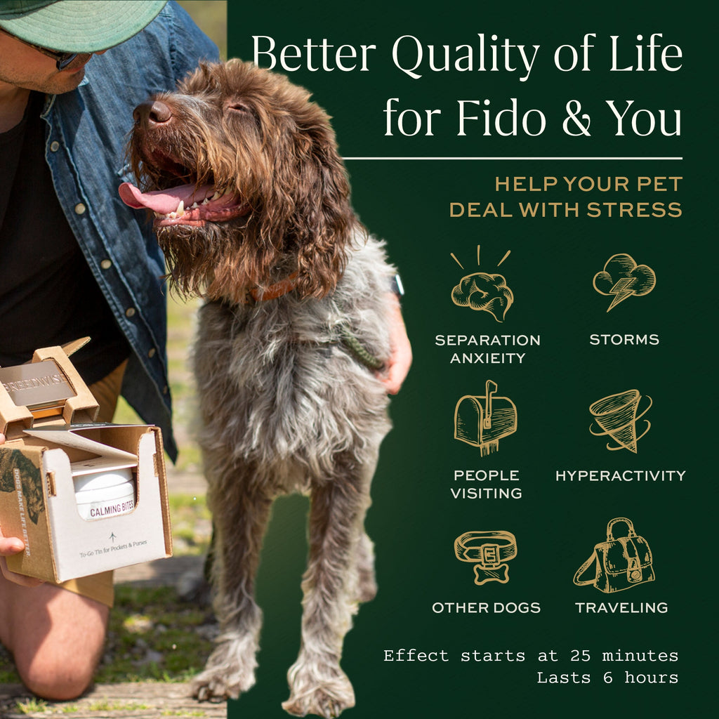 Calming Bites & Carrying Tin