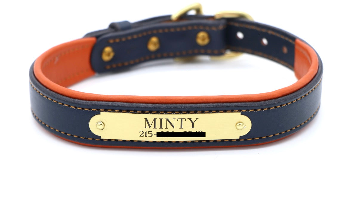Padded Dog Collar