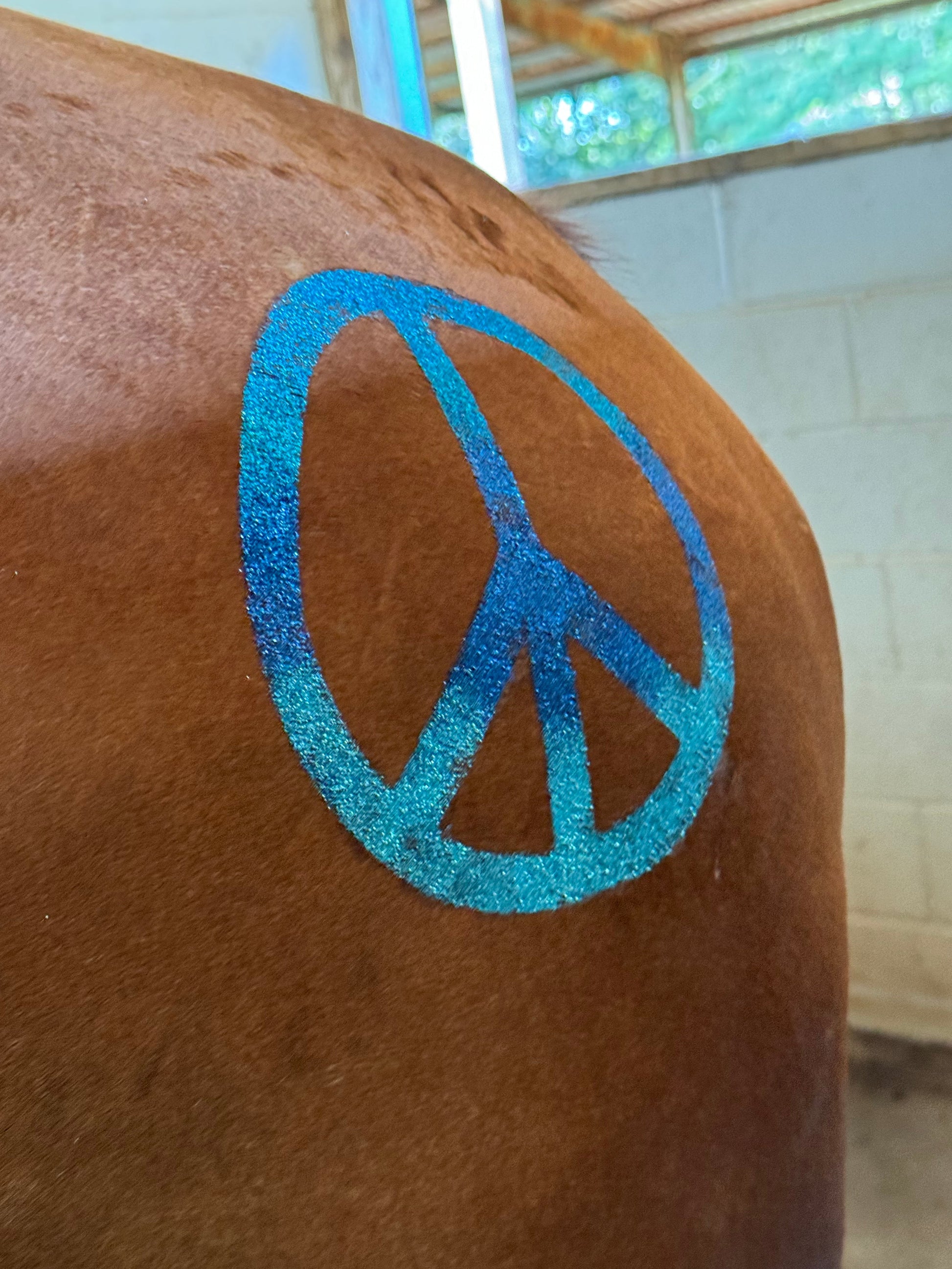 Peace Minimarx