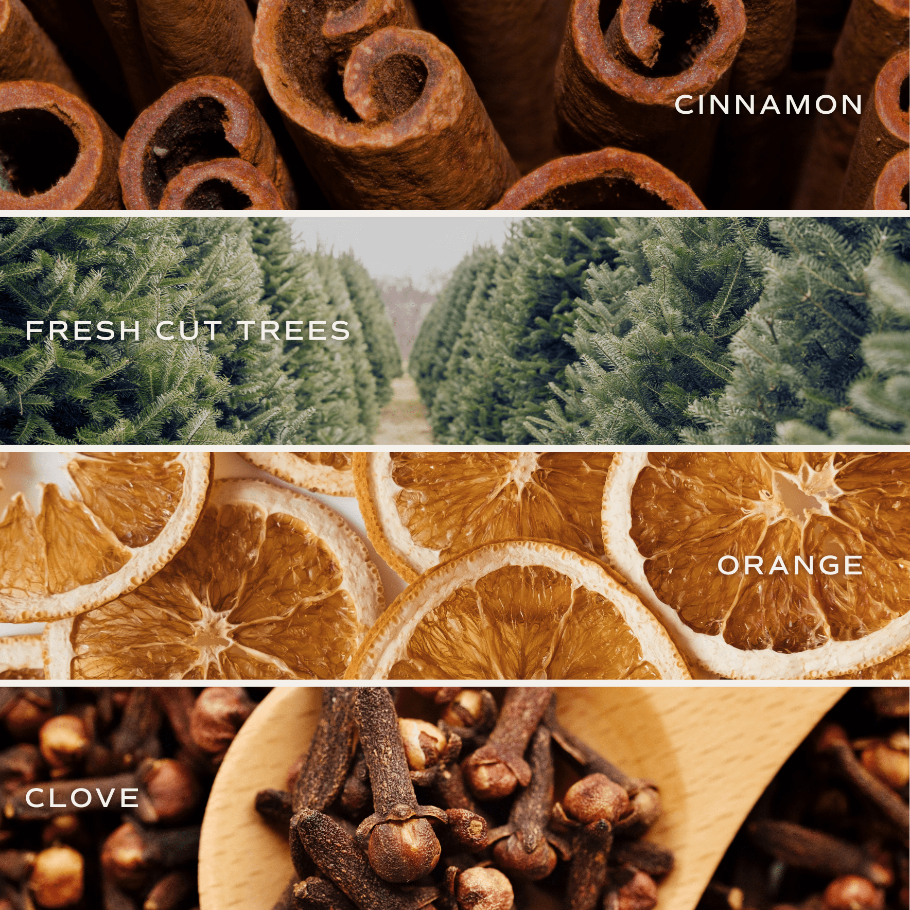 Christmas Amber Reed Diffuser