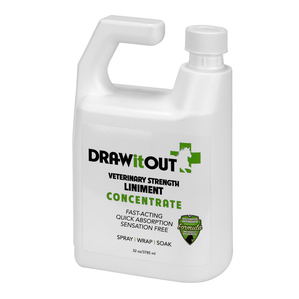 Draw It Out® 32oz Horse Liniment Concentrate | Spray, Wrap & Soak