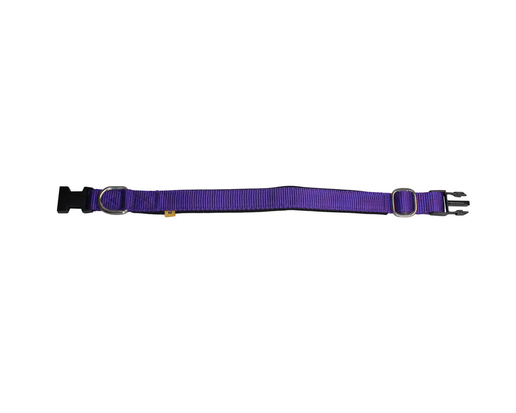 cuteNfuzzy® Adjustable Padded Dog Collar