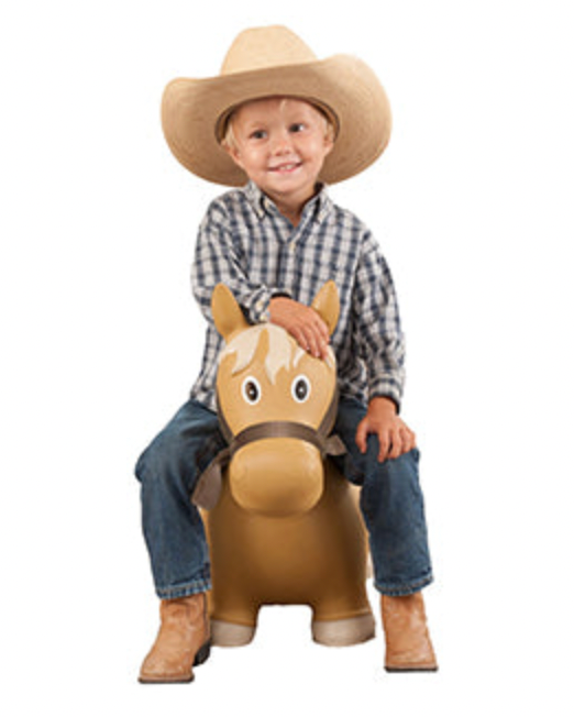 LIL BUCKER HORSE