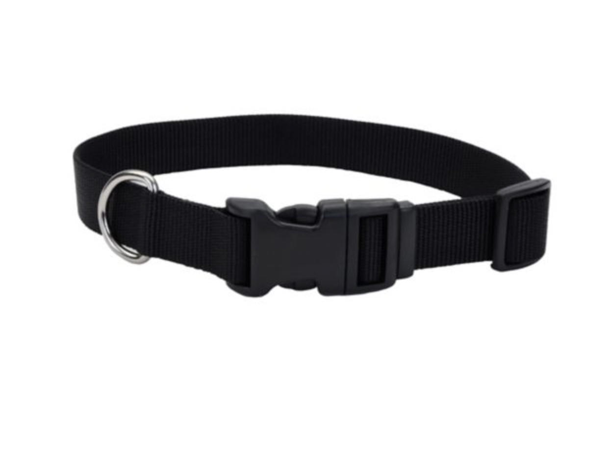 SHOWMAN DOG COLLAR