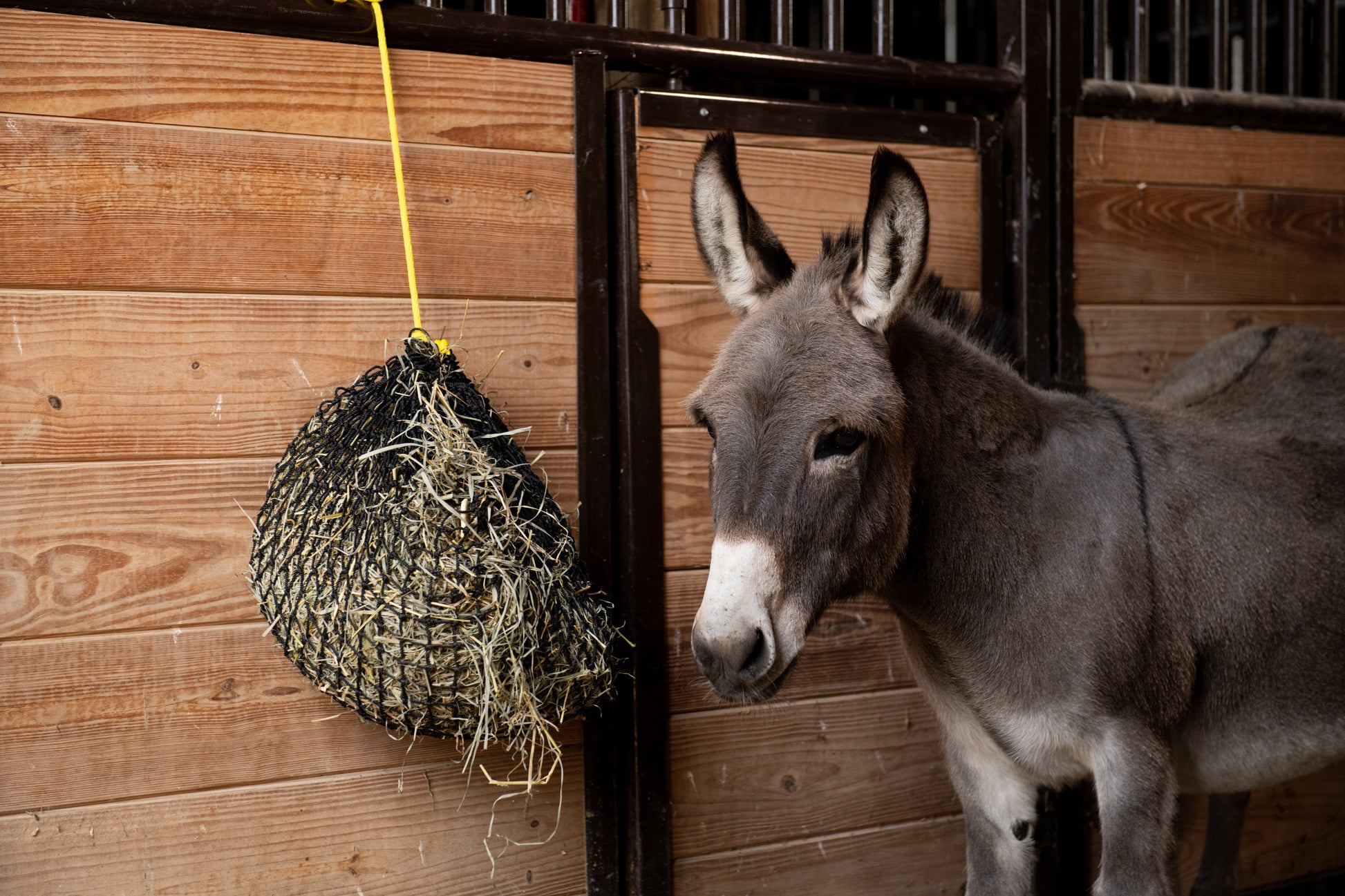 Xtra Small Hay Net