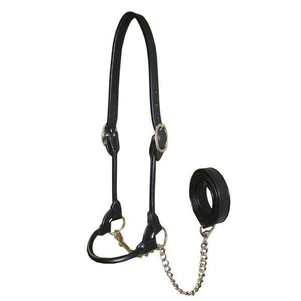 Derby Originals Rolled Leather Cattle Show Halter – Adjustable Fit with 48" Lead and 14" Chain, Small/Medium/Large – 1-Year Warranty