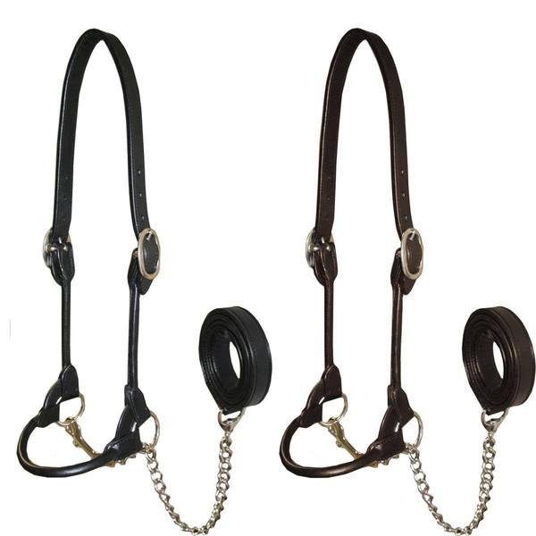 Derby Originals Rolled Leather Cattle Show Halter – Adjustable Fit with 48" Lead and 14" Chain, Small/Medium/Large – 1-Year Warranty