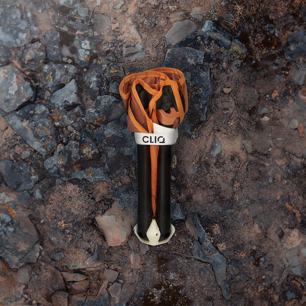 ClassiQ Lounge Chair