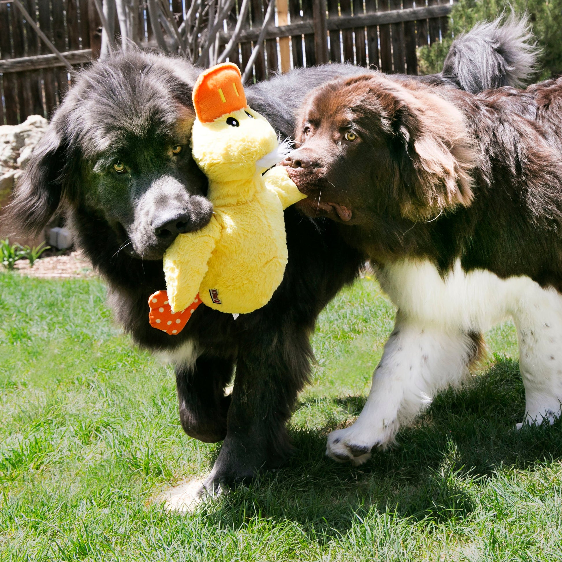 Kong Comfort Duck X-Large