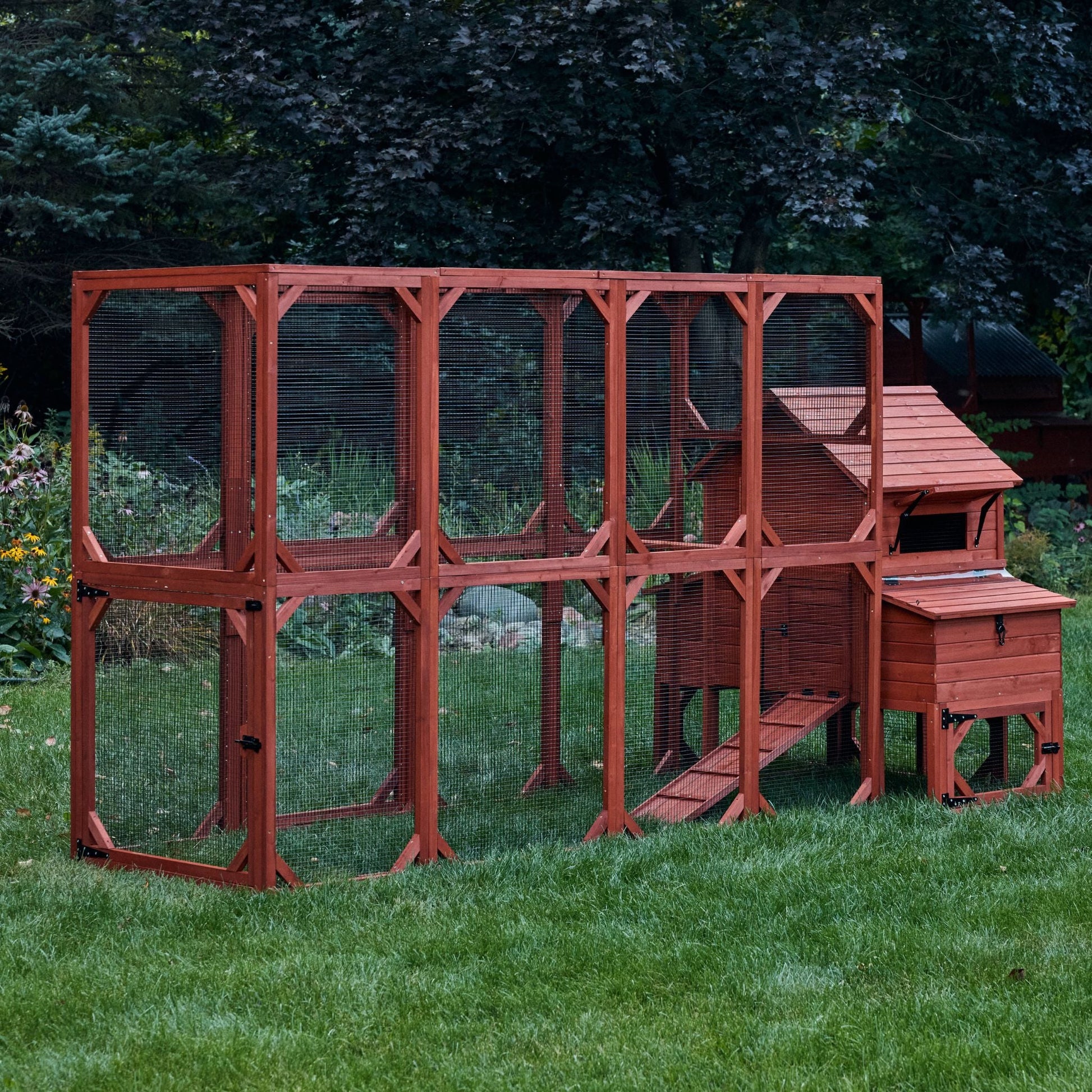 Chicken Coop for 6 Chickens – Orpington Lodge