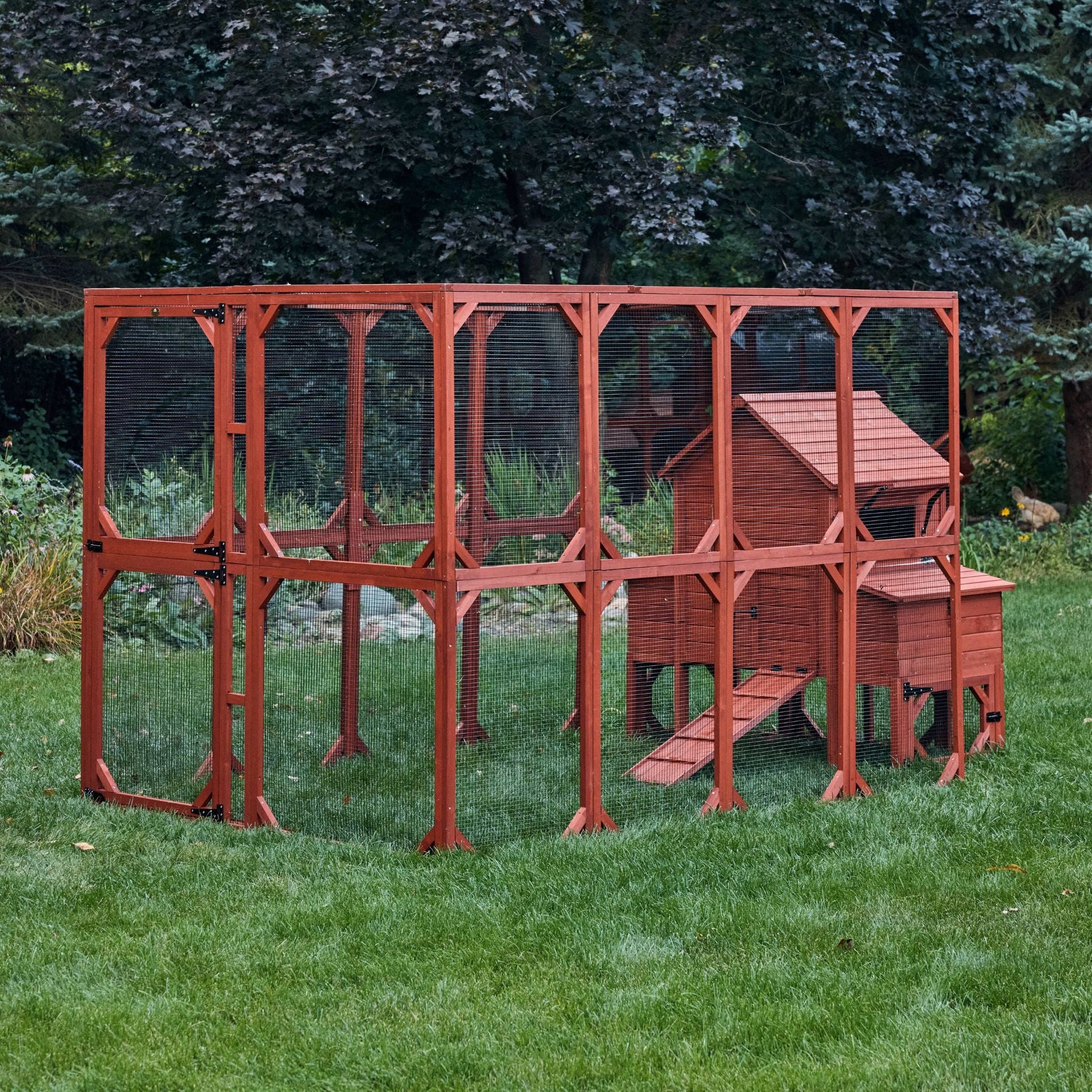 Chicken Coop for 6 Chickens – Orpington Lodge
