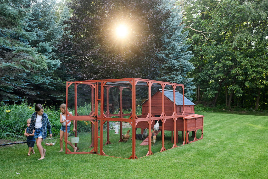 Chicken Coop for 15 Chickens – Brahma Chicken Coop