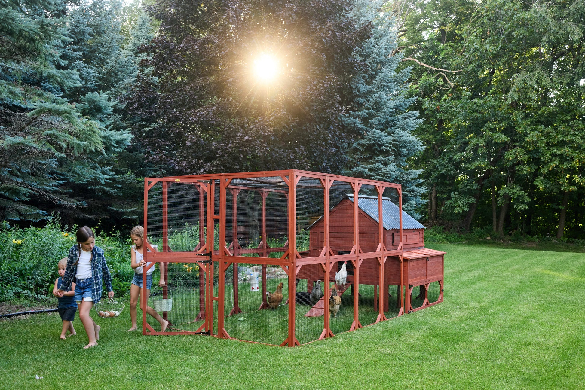 Chicken Coop for 15 Chickens – Brahma Chicken Coop