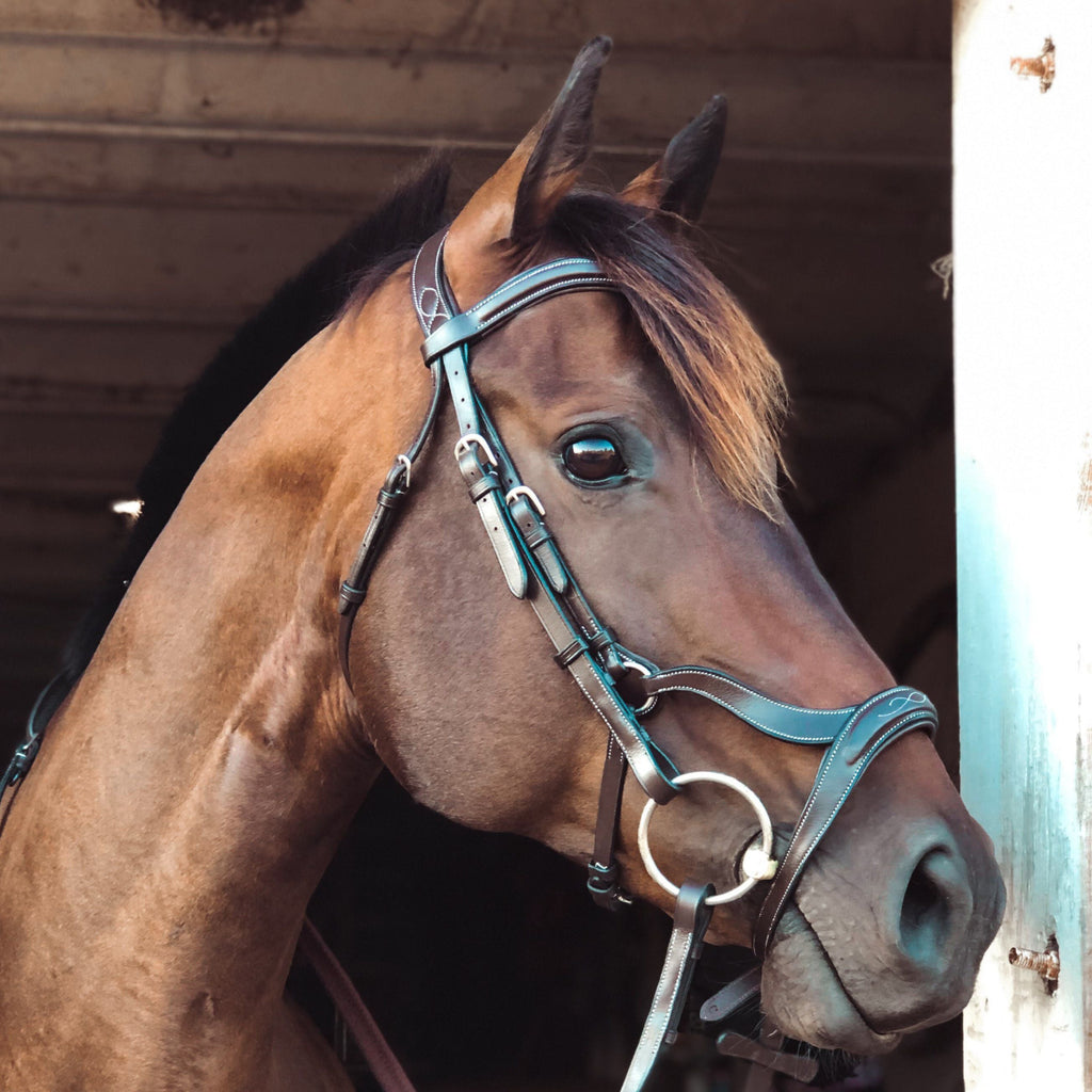 ExionPro 'Ayla' Anatomical Drop Noseband Bridle with Reins