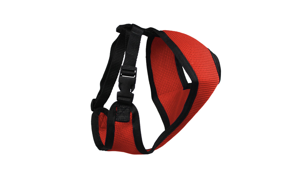 Comfort Mesh Dog Harness by cuteNfuzzyÂ® with Six Month Warranty