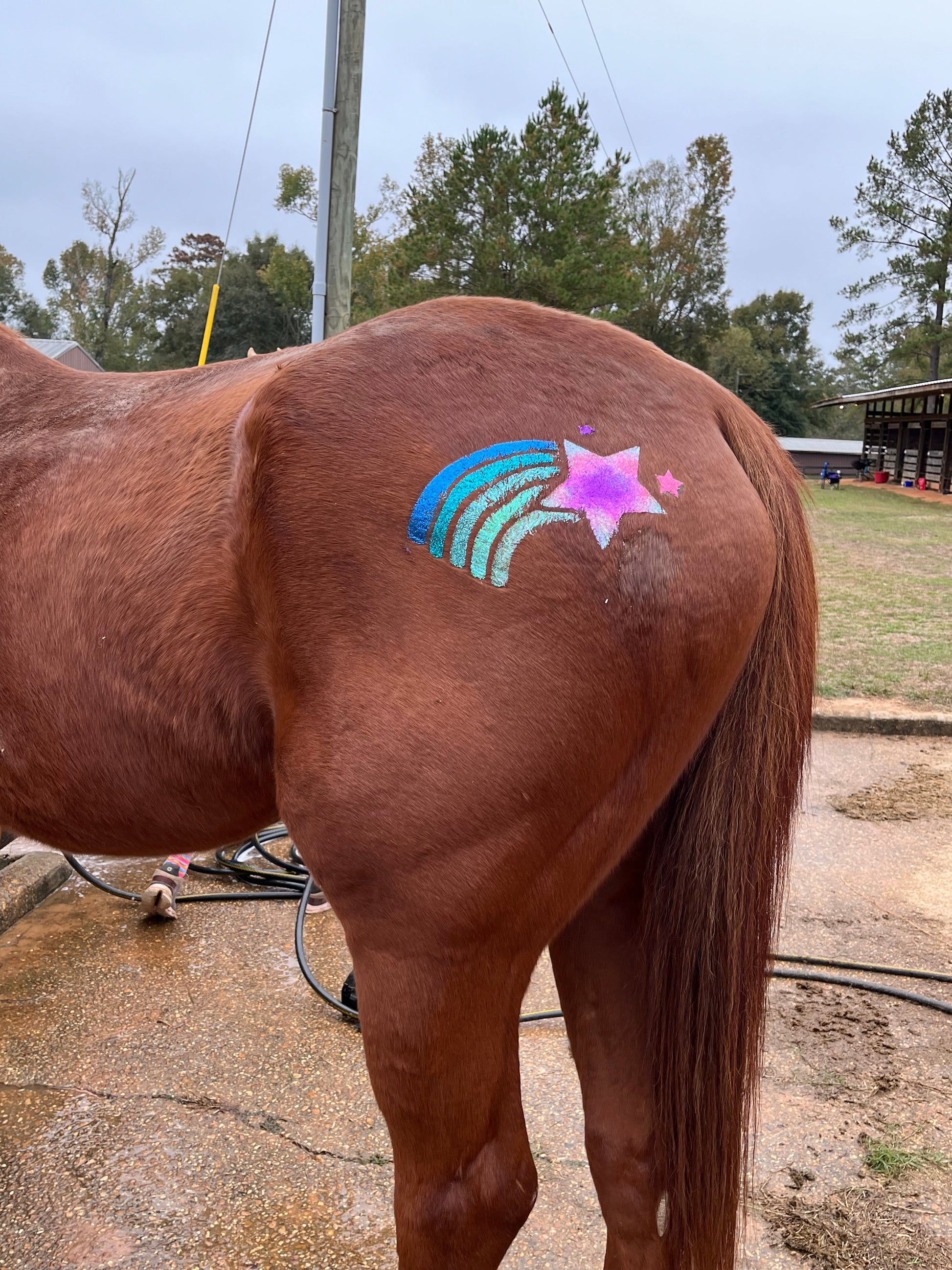 Rainbow Star
