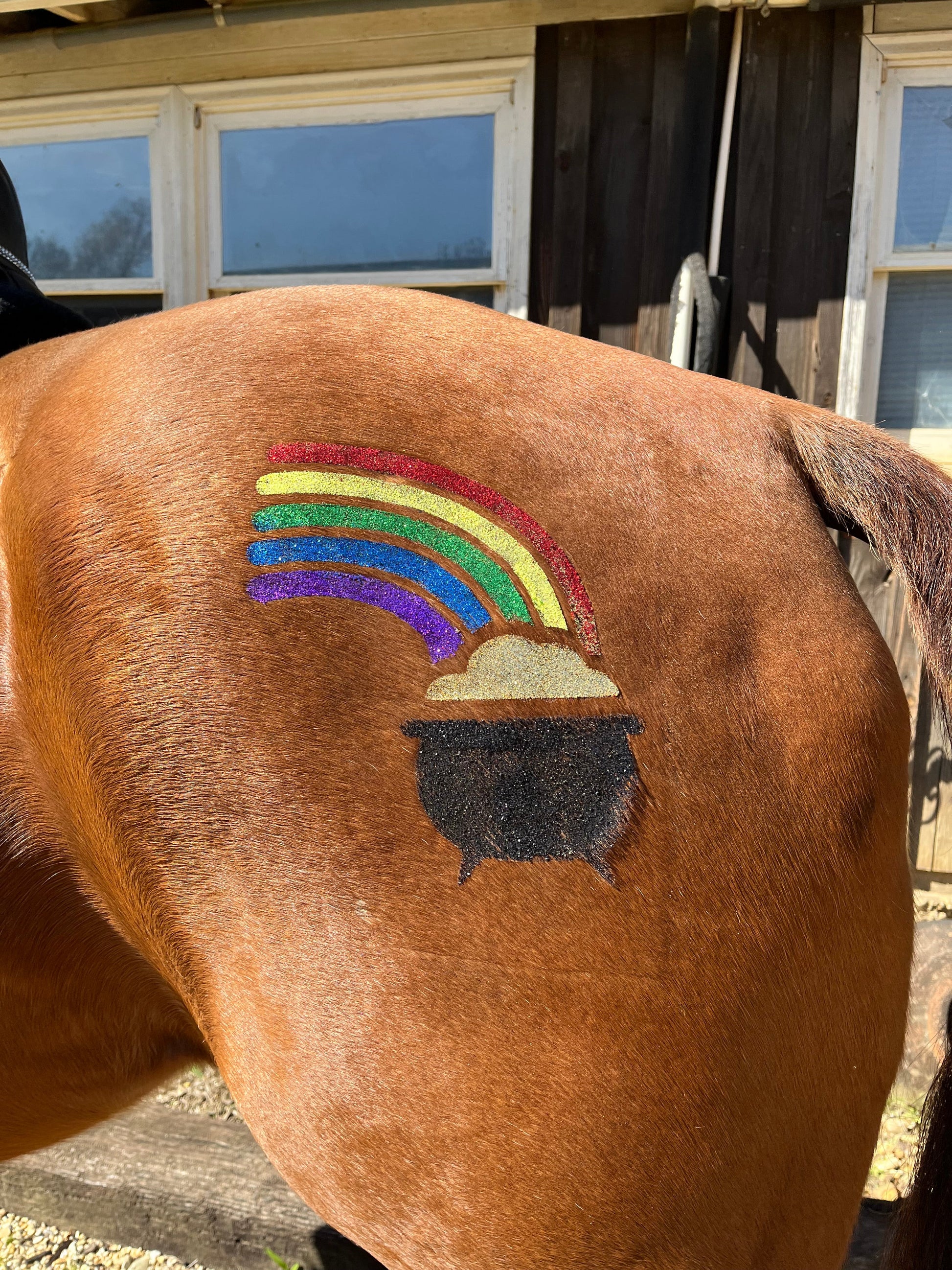 Rainbow Pot of Gold