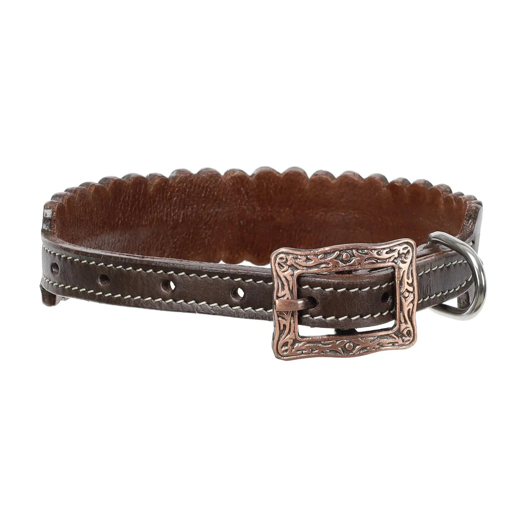 Fusion Beaded Leather Dog Collar