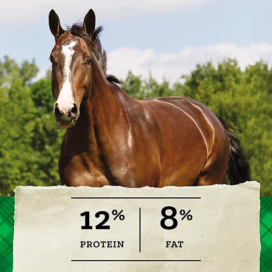 Nutrena Triumph® 12-8 Horse Feed