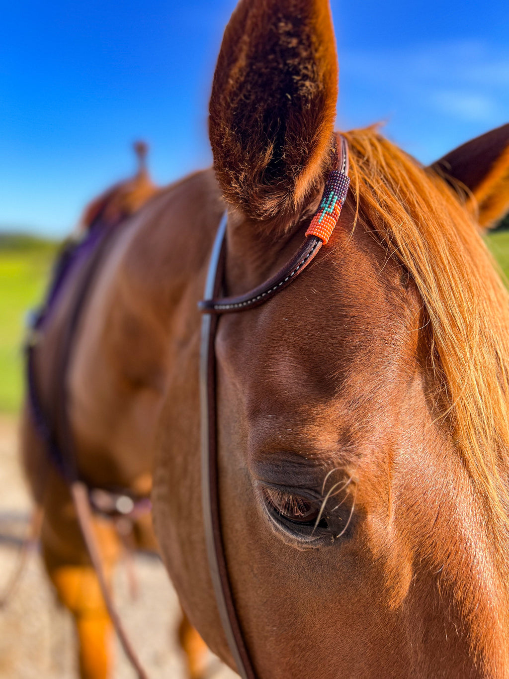 Desert Night *Mini* Beaded Headstall