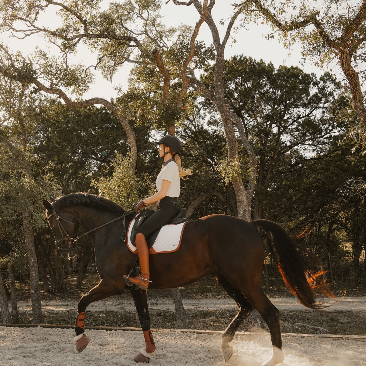 Dressage Pad, White & Cognac