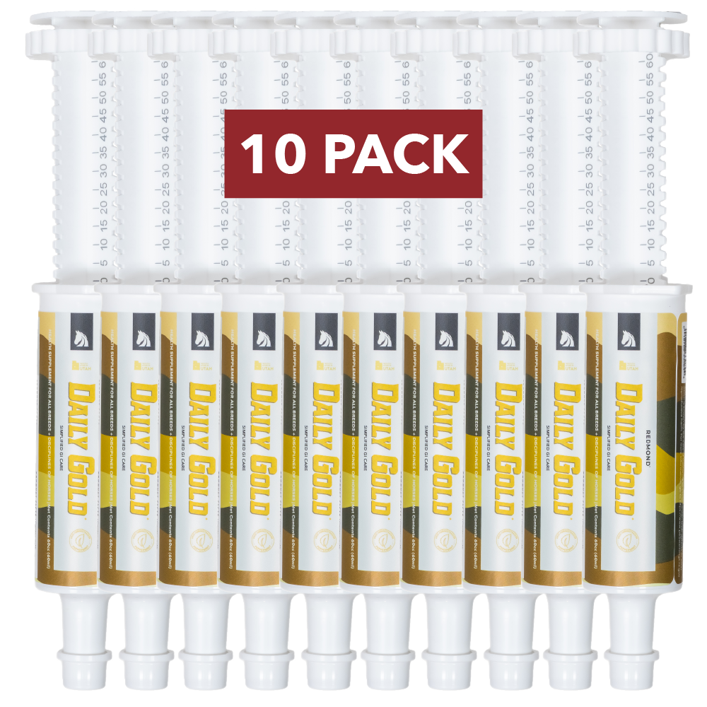 Daily Gold® Paste - Digestive Stress Relief for Horses