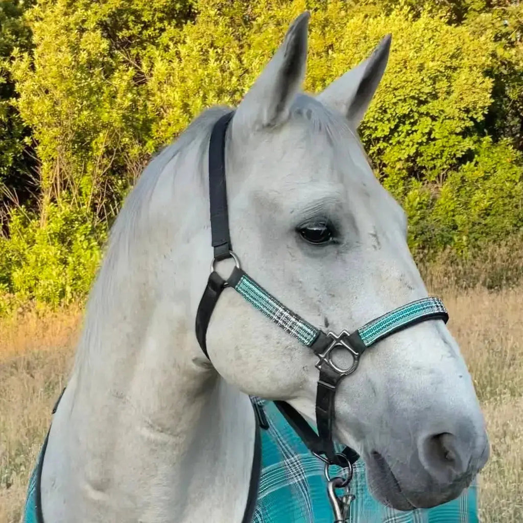 Reflective Nylon Halter with Textliene