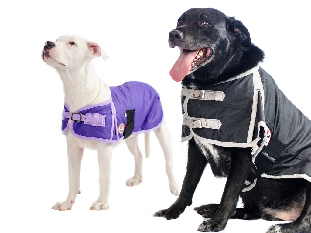 Derby 600D Dog Blanket Coat Waterproof Insulated 1 Year Limited Manufacturer Warranty*