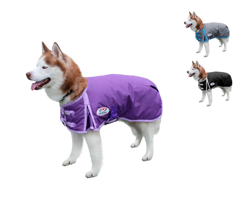Derby 600D Dog Blanket Coat Waterproof Insulated 1 Year Limited Manufacturer Warranty*