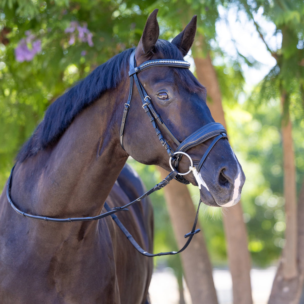 Doc Marten Black Leather Snaffle Bridle with Removable Flash