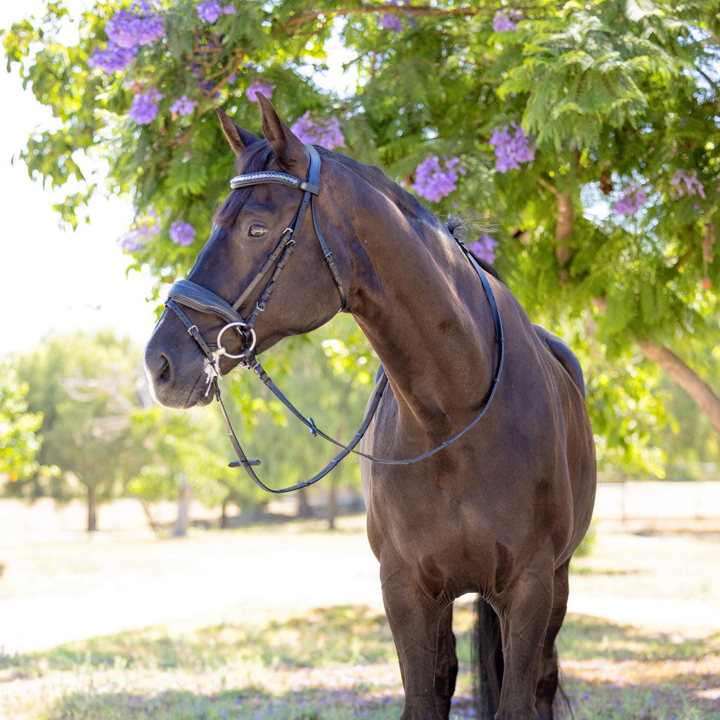 Doc Marten Black Leather Snaffle Bridle with Removable Flash