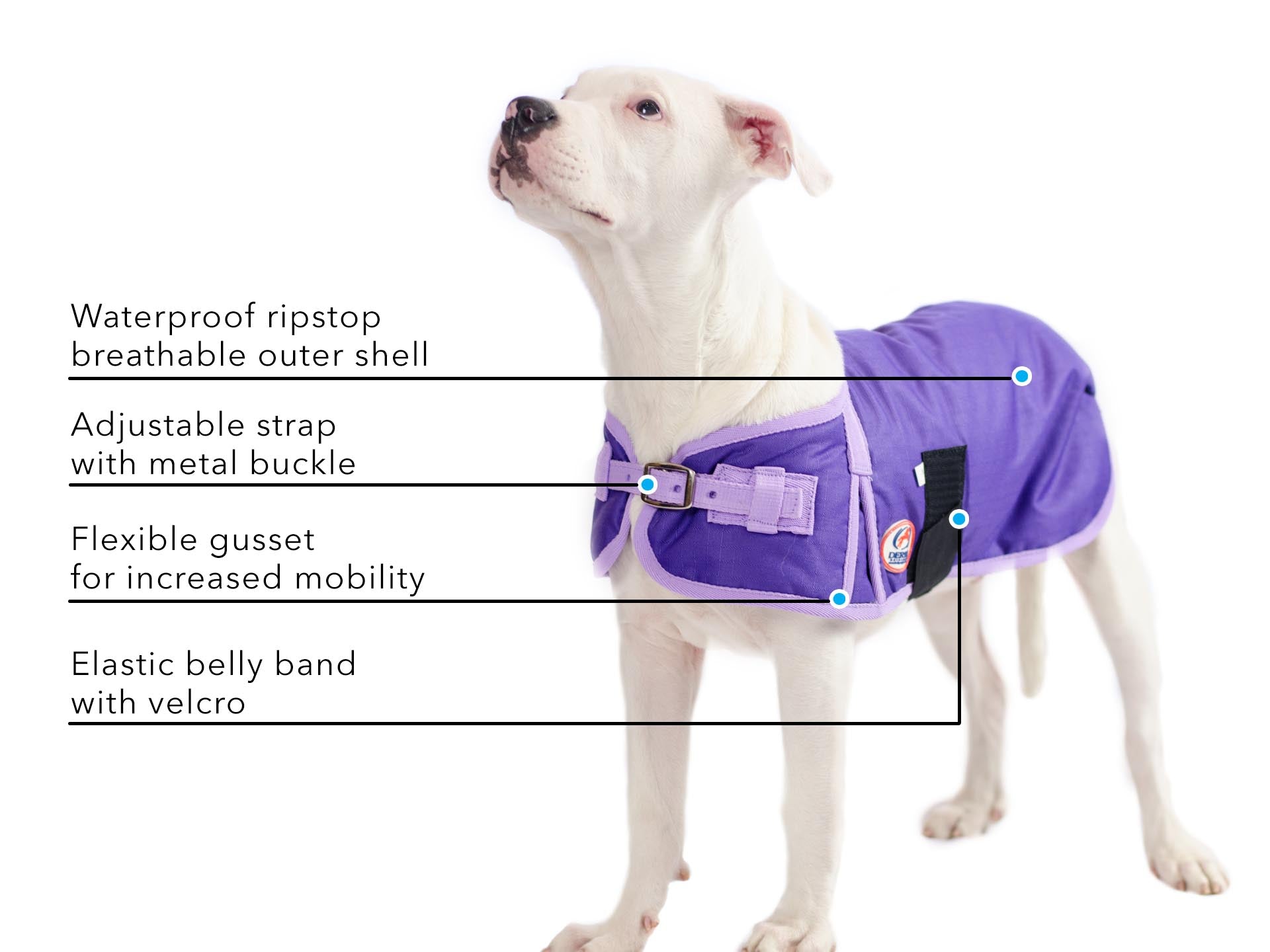 Derby 600D Dog Blanket Coat Waterproof Insulated 1 Year Limited Manufacturer Warranty*