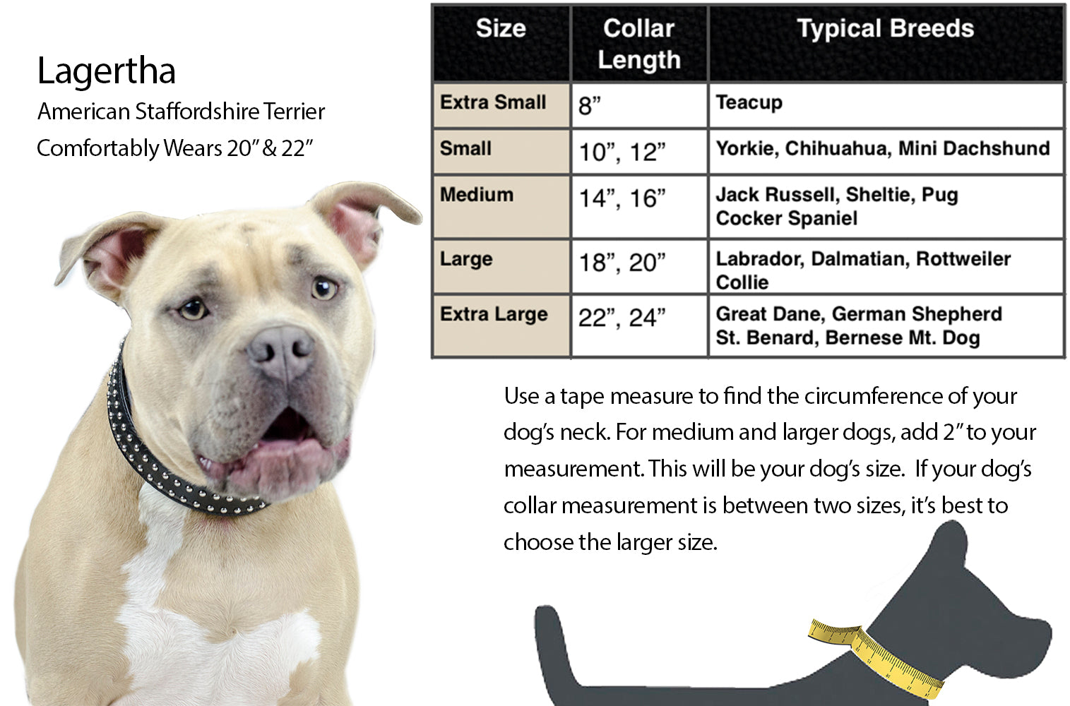 Derby Dog Designer Series USA Leather Padded Dog Collar with Swarovski Crystal Inlay with Stainless Steel Rolled Buckle for Comfort