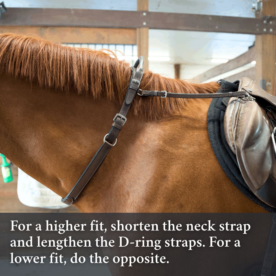 Double Neck Strap
