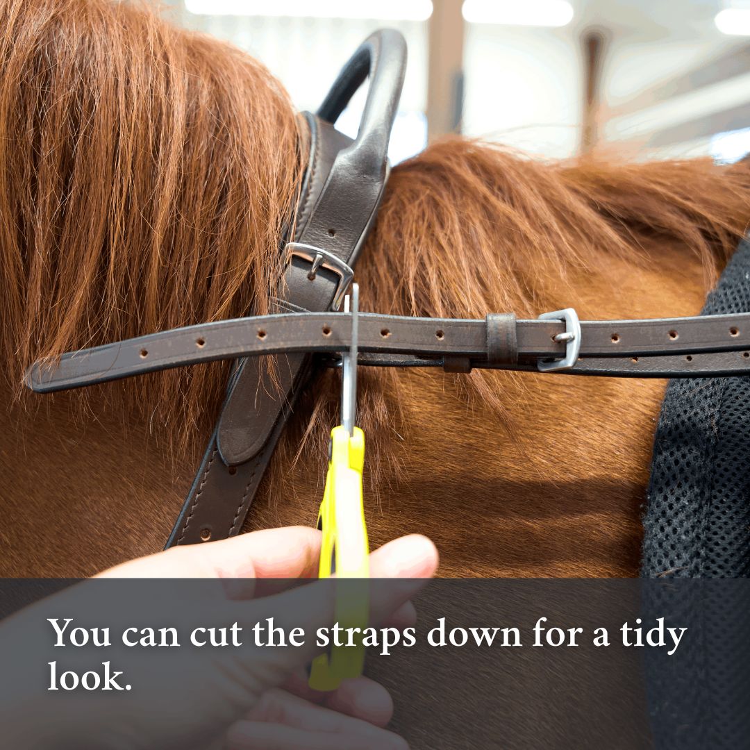 Double Neck Strap