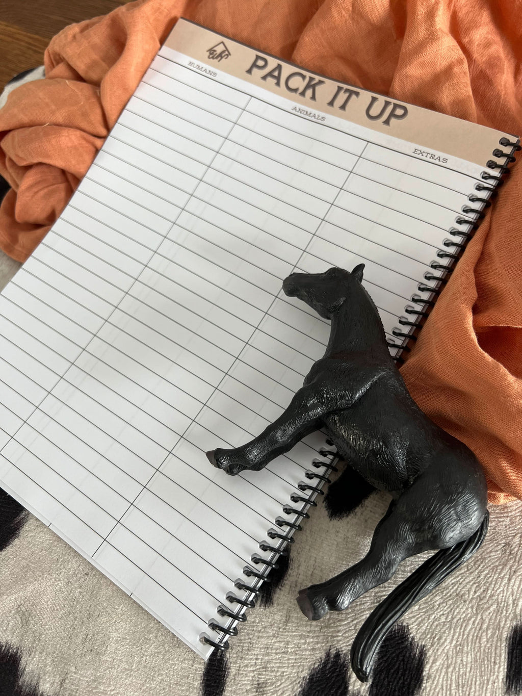 Turn and Burn Turquoise Rodeo Book