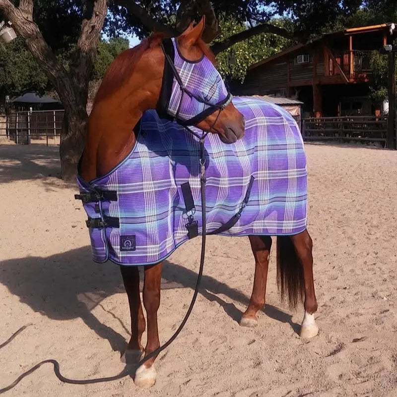 Clinician Training Rope Halter with Braided Nose