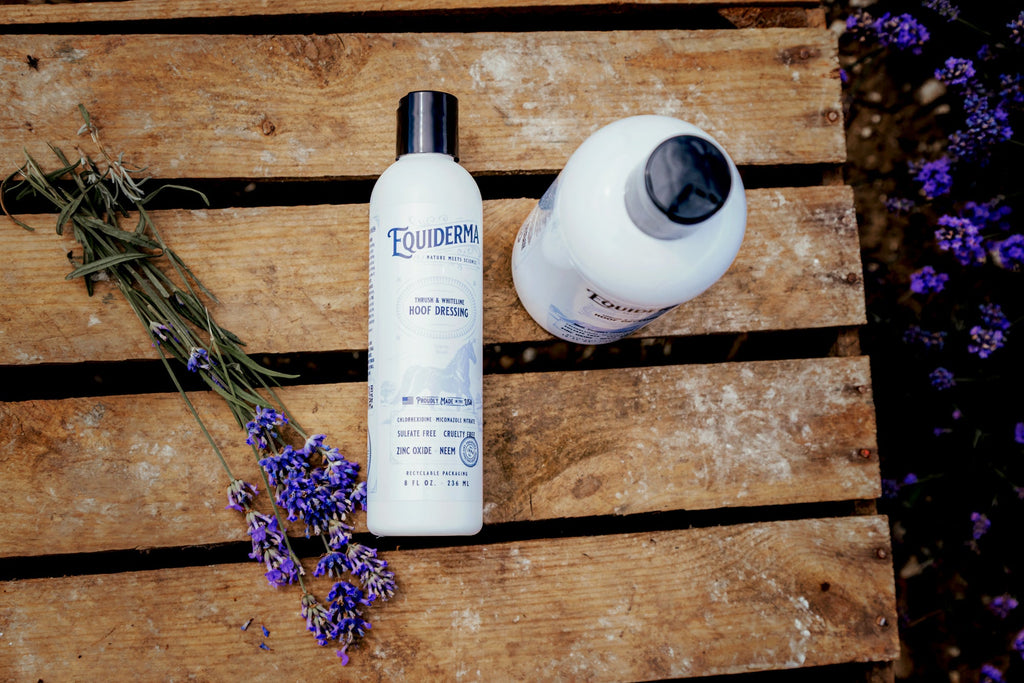 Thrush & Whiteline Hoof Dressing